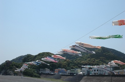 koinobori.JPG