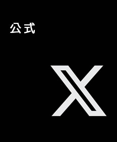 公式X