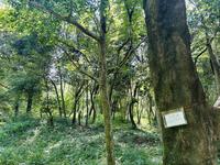 IMG_1766.jpeg