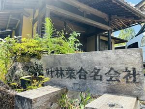 IMG_2477.jpeg