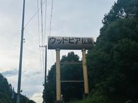 IMG_2951.jpeg