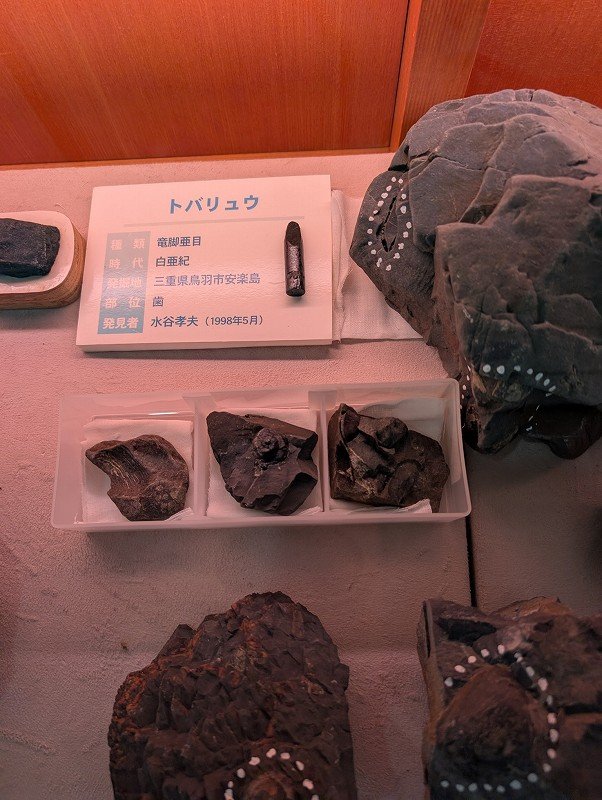 PXL_20260821_015755107.jpg