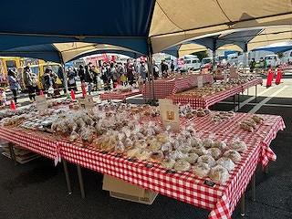IMG_5626.jpg