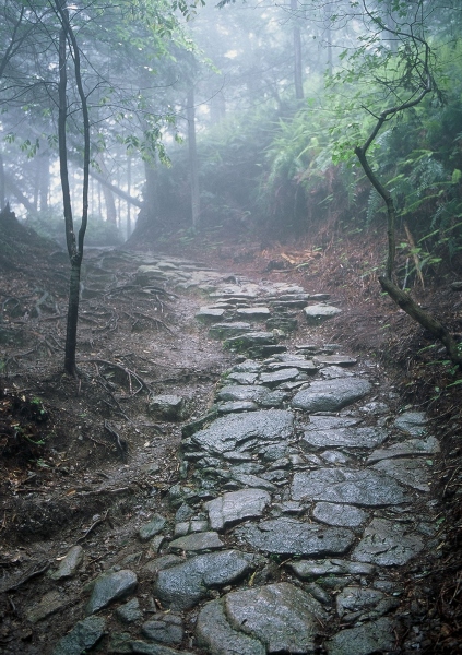 梅雨時期ならではのイベント 雨の熊野古道 馬越峠を歩こう 山中ちさのリポートblog