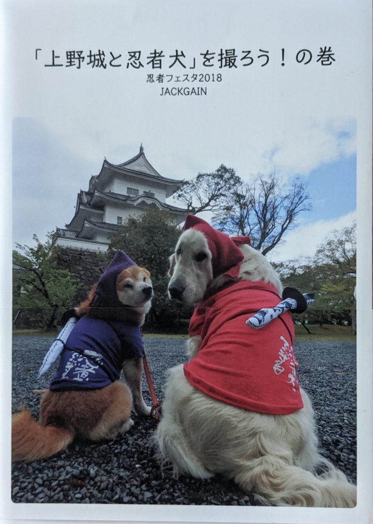伊賀と忍者犬 を撮ってきてねの巻21 開催中 Jackgain ジャックゲイン 迫田藍子のリポーターブログ